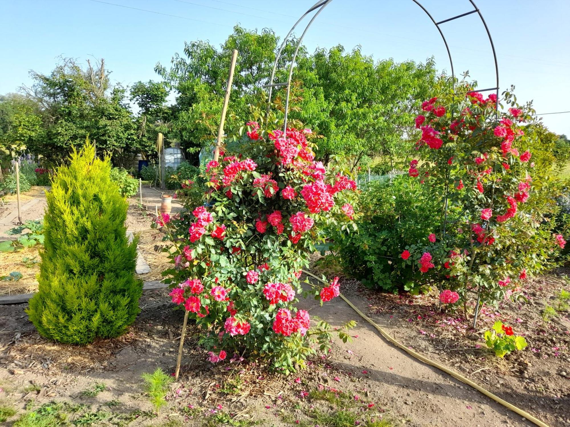 Les Abelias Bed and Breakfast Hauterive  Exteriör bild